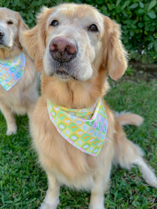 Easter Gingham Bandana