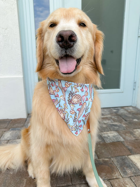 Spring Training Baseball Bandana