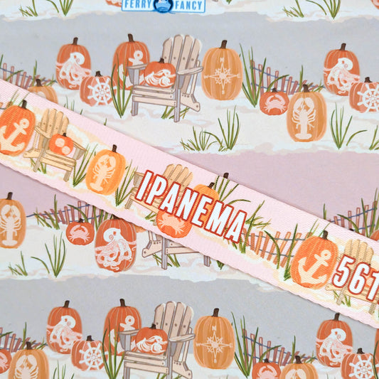 Beachy Pumpkins Collar