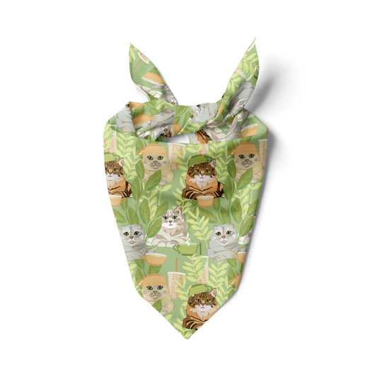 Barista Cats Bandana