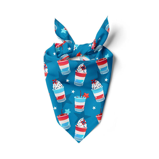 Jello Shots and Gingham Stars Bandana