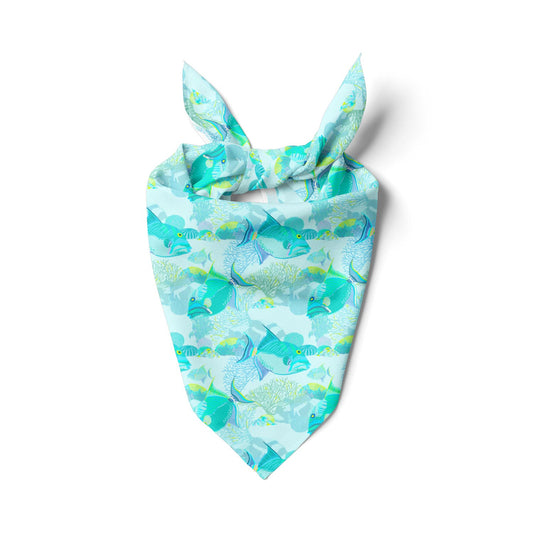 Trigger Fish Bandana