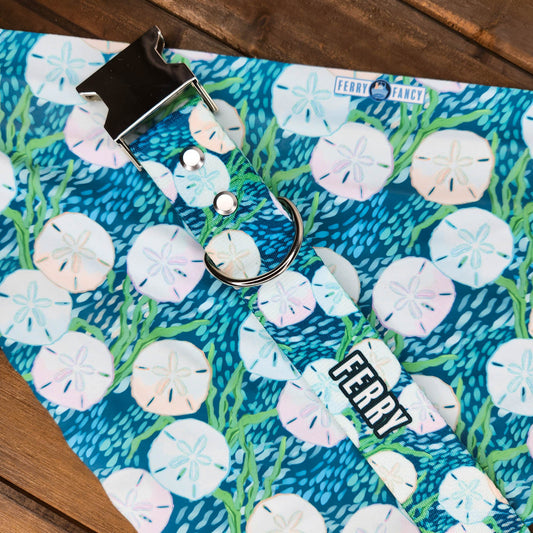 Sand Dollar Riches Collar