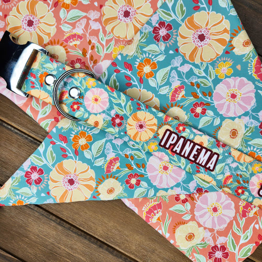Funky Florals Collar
