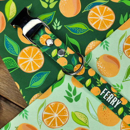 Tangerine Greenery Collar