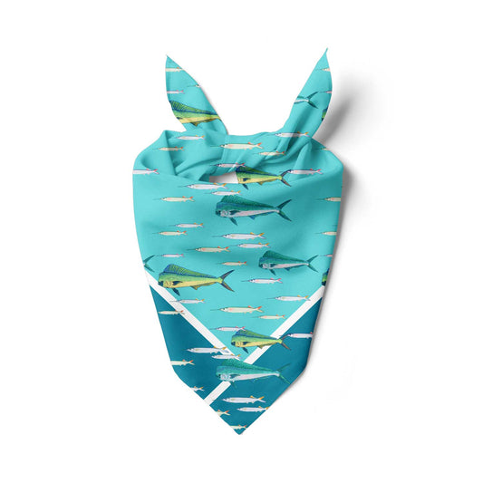 Ballyhoo Mahi Bandana