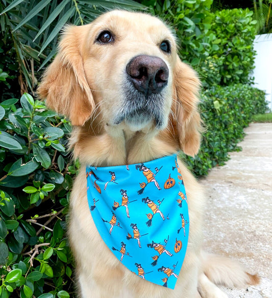 Basic Witch Bandana