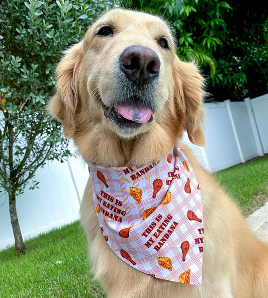 Loose Fit Eating Bandana