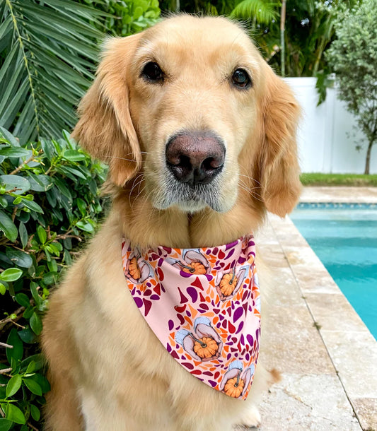 Hand-some Gourds Bandana