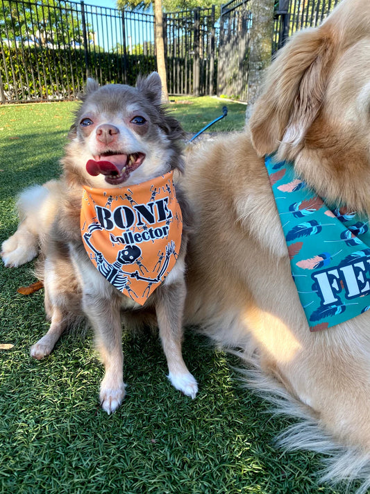 Bone Collector Bandana