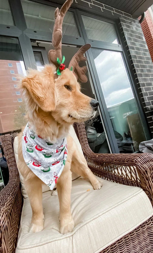 Santa's Helper Bandana