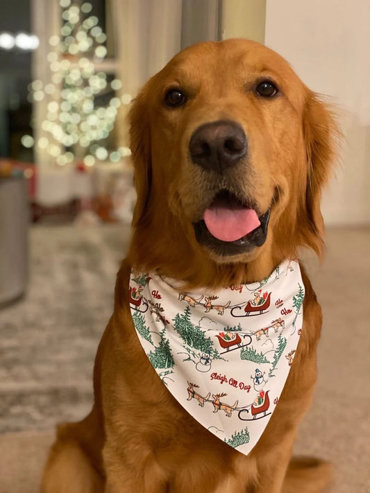 Sleigh All Day Bandana