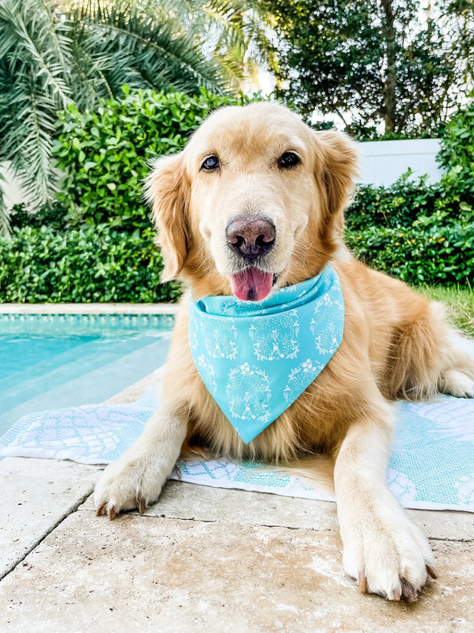 Spring Ginger Jar Bandana