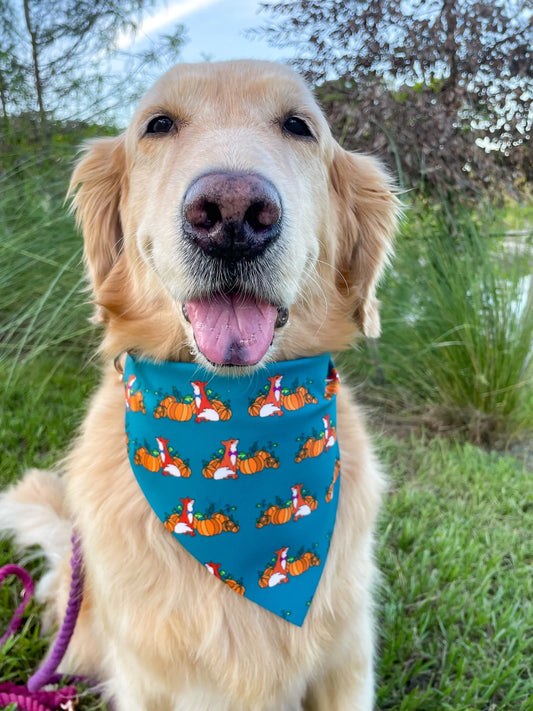 A Fox, A Fair Bandana