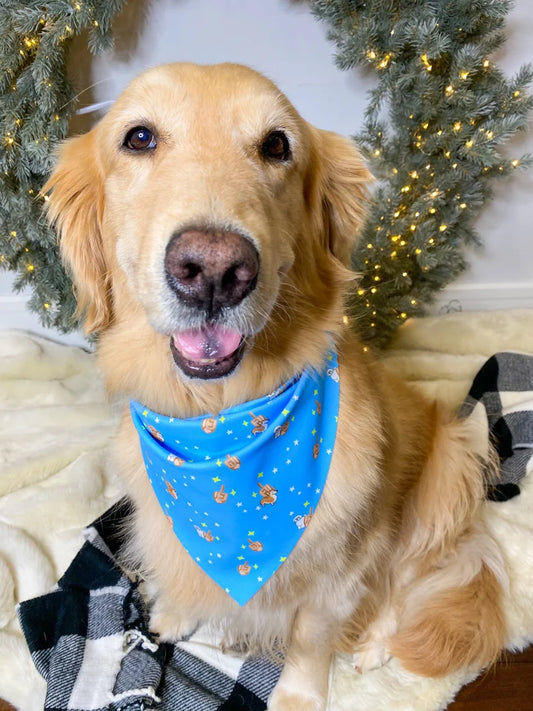 Dreidel Dogs Bandana