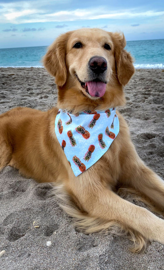Salty Pineapples Bandana