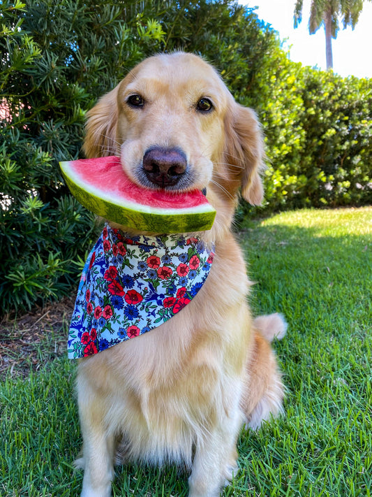 Blooming Patriot Bandana