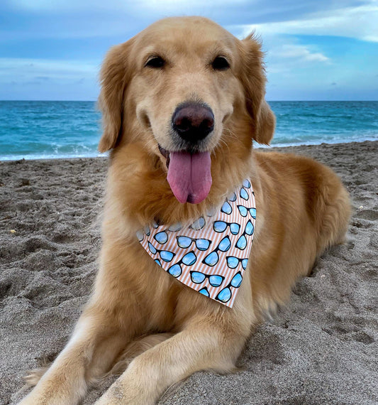 Sea Views Bandana