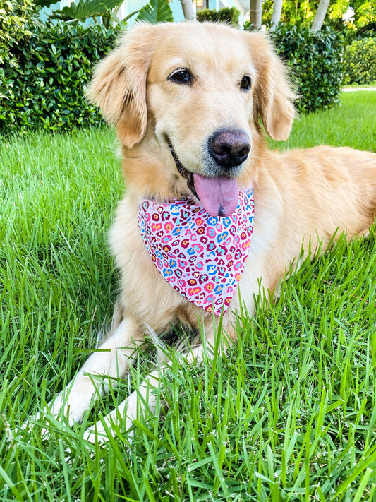 Moves Like Jaguar Bandana