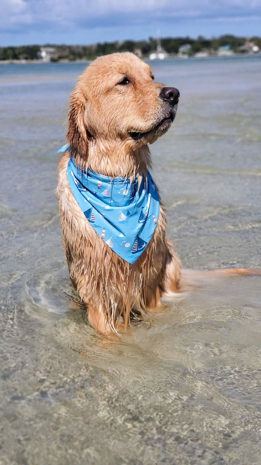 Moonlight Regatta Bandana