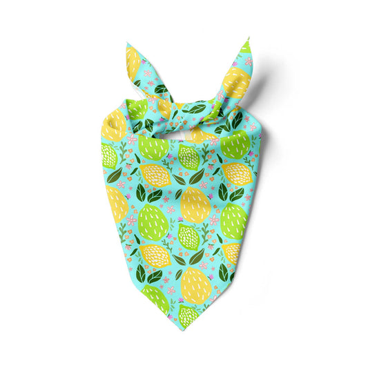 Tartacular Citrus Bandana
