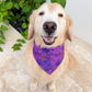 Wicked Wardrobe Bandana