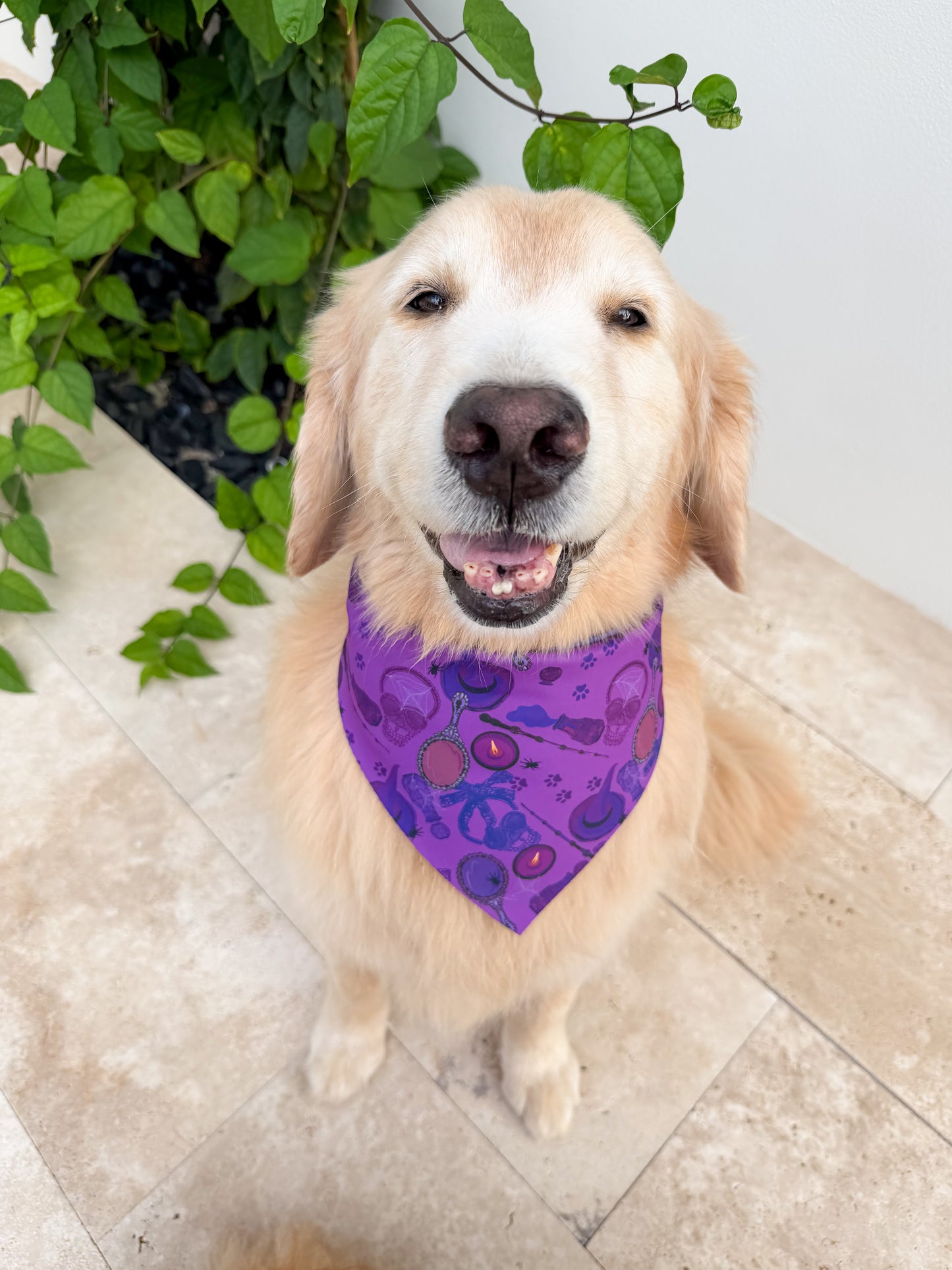Wicked Wardrobe Bandana