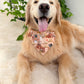 Fall in the Woods Bandana