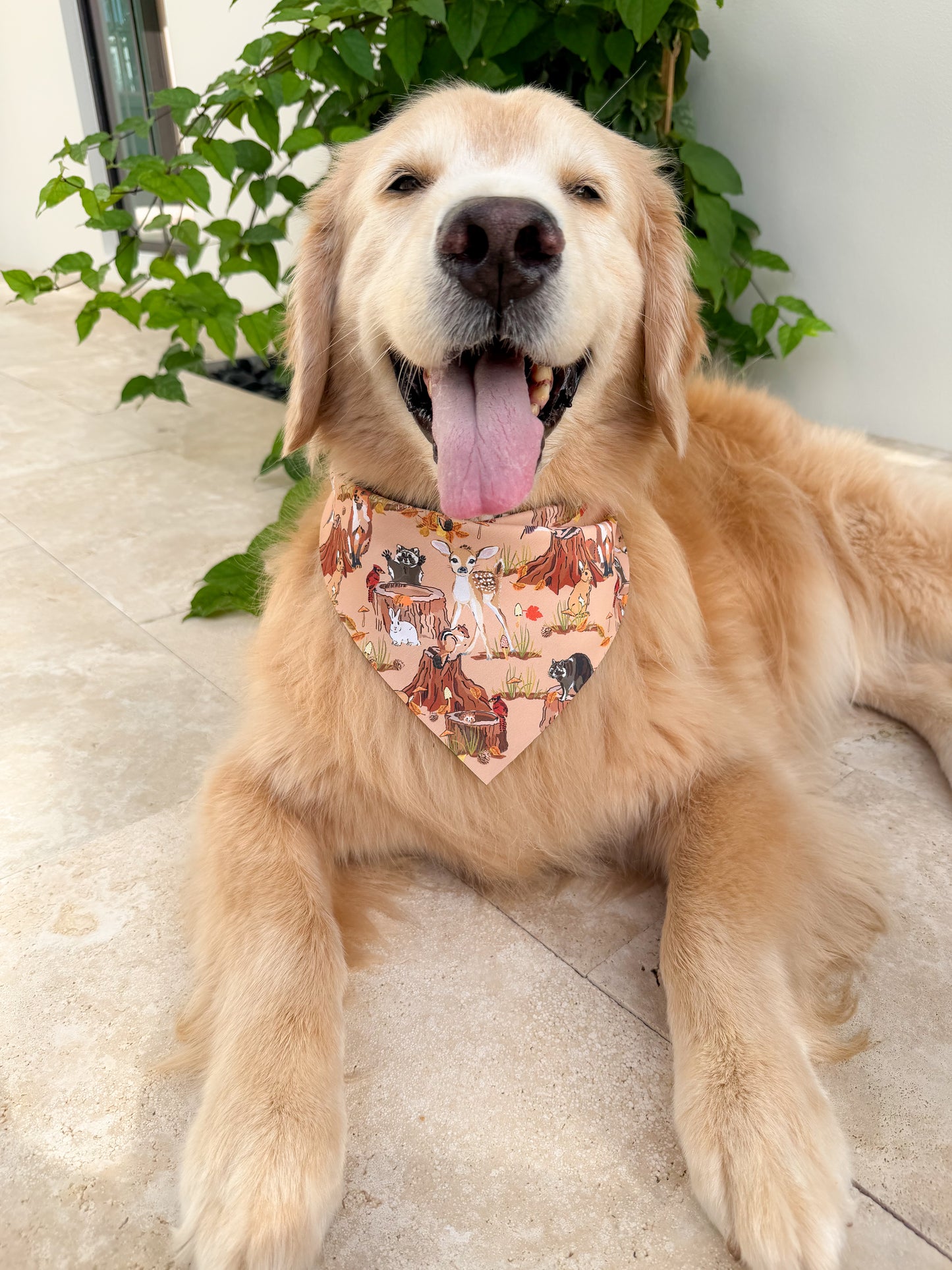 Fall in the Woods Bandana