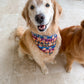 Houndstooth Fall / Halloween  Bandana