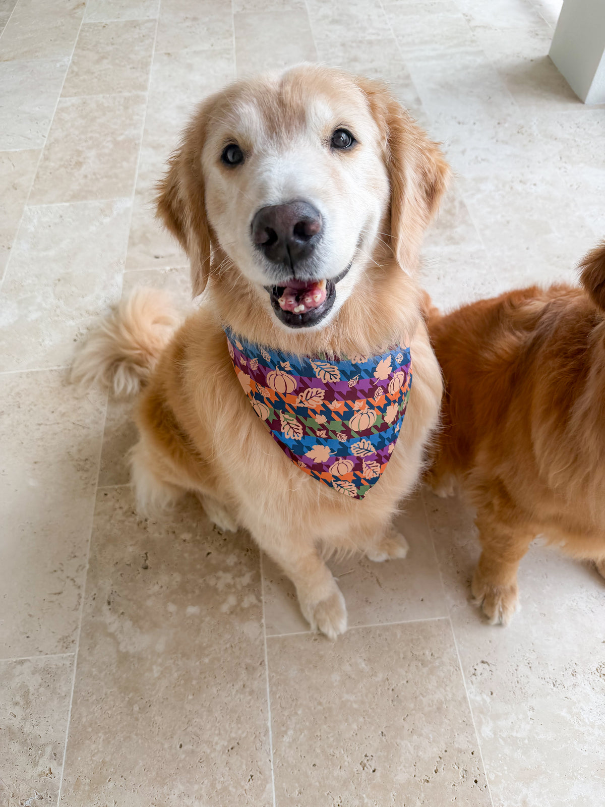 Houndstooth Fall / Halloween  Bandana
