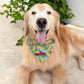 Corn Maize Bandana
