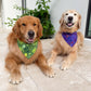 Wicked Wardrobe Bandana