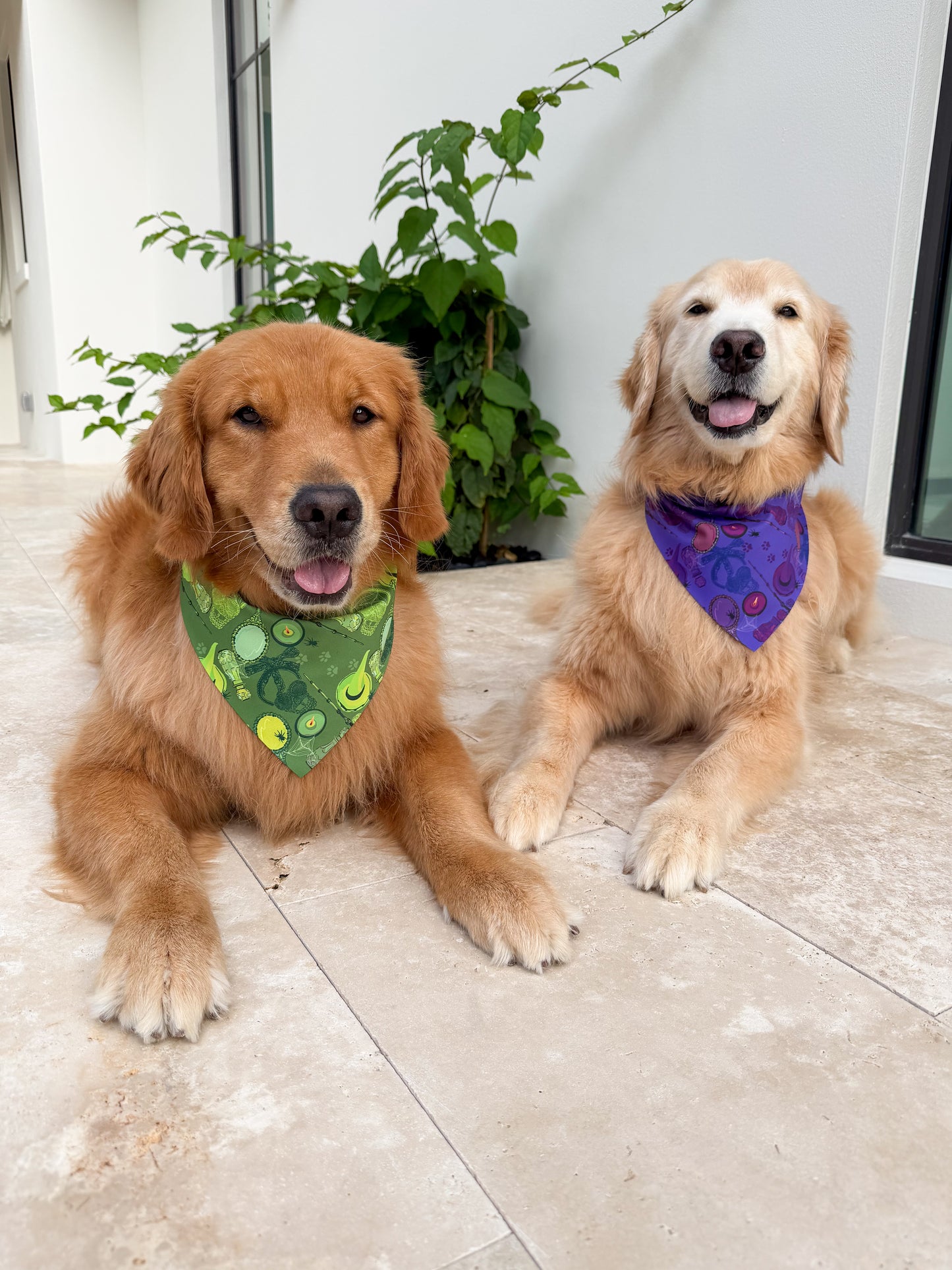 Wicked Wardrobe Bandana