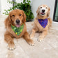 Wicked Wardrobe Bandana