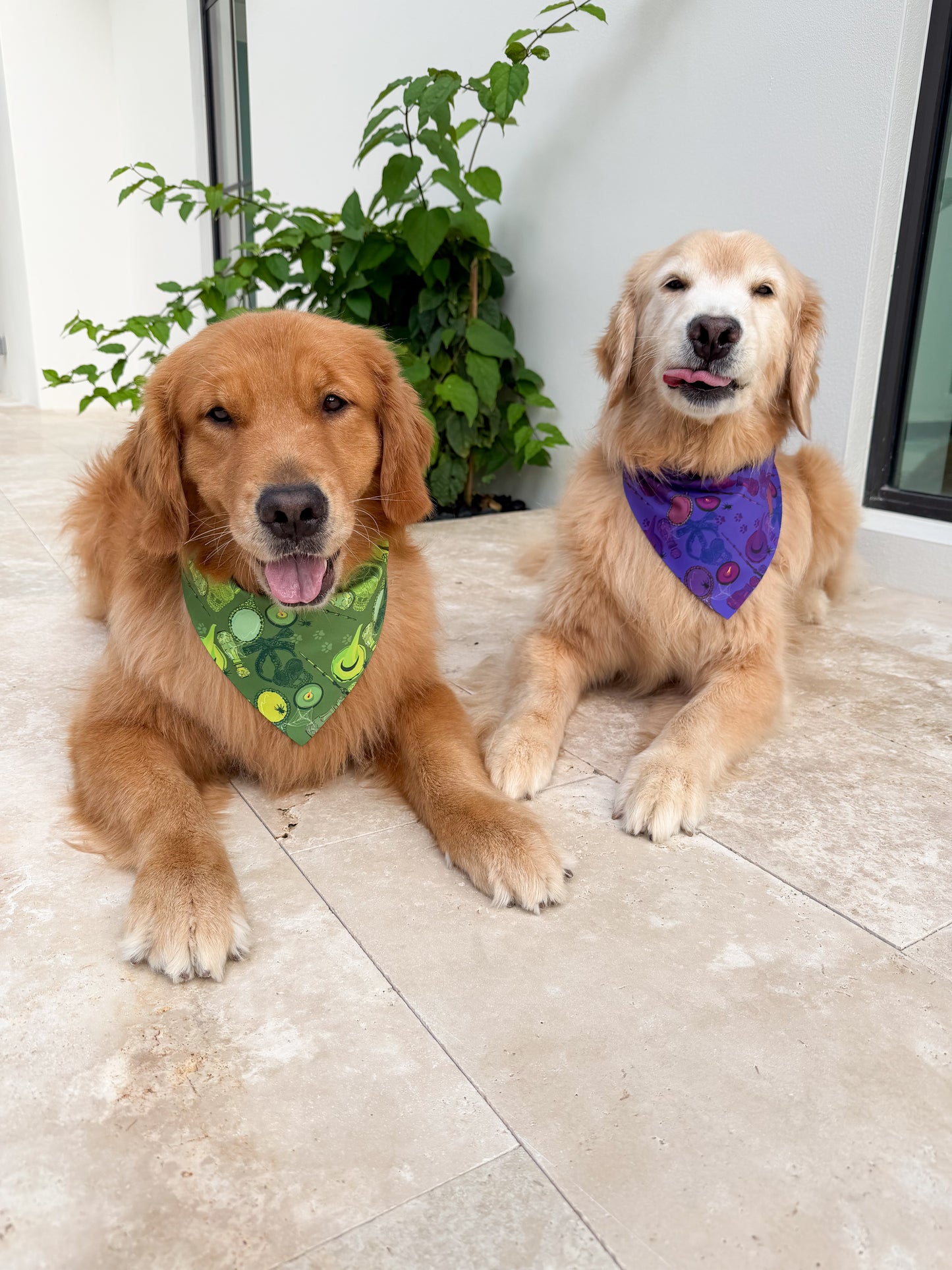 Wicked Wardrobe Bandana