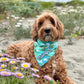 Spring in the Swampy Marsh Bandana