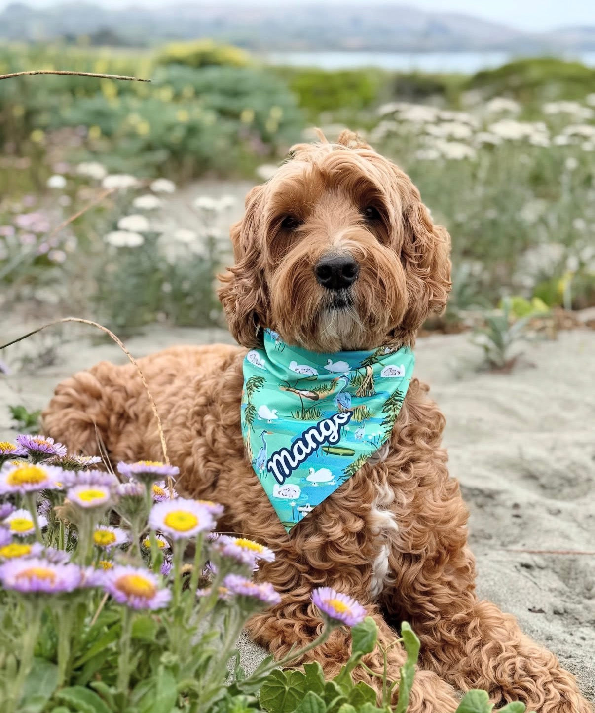Spring in the Swampy Marsh Bandana