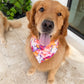 Ofrenda Florals Bandana