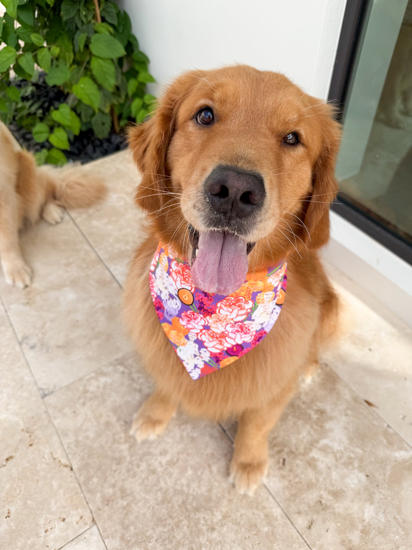 Ofrenda Florals Bandana