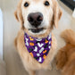Wigged Out Ghosts and Gourds Bandana