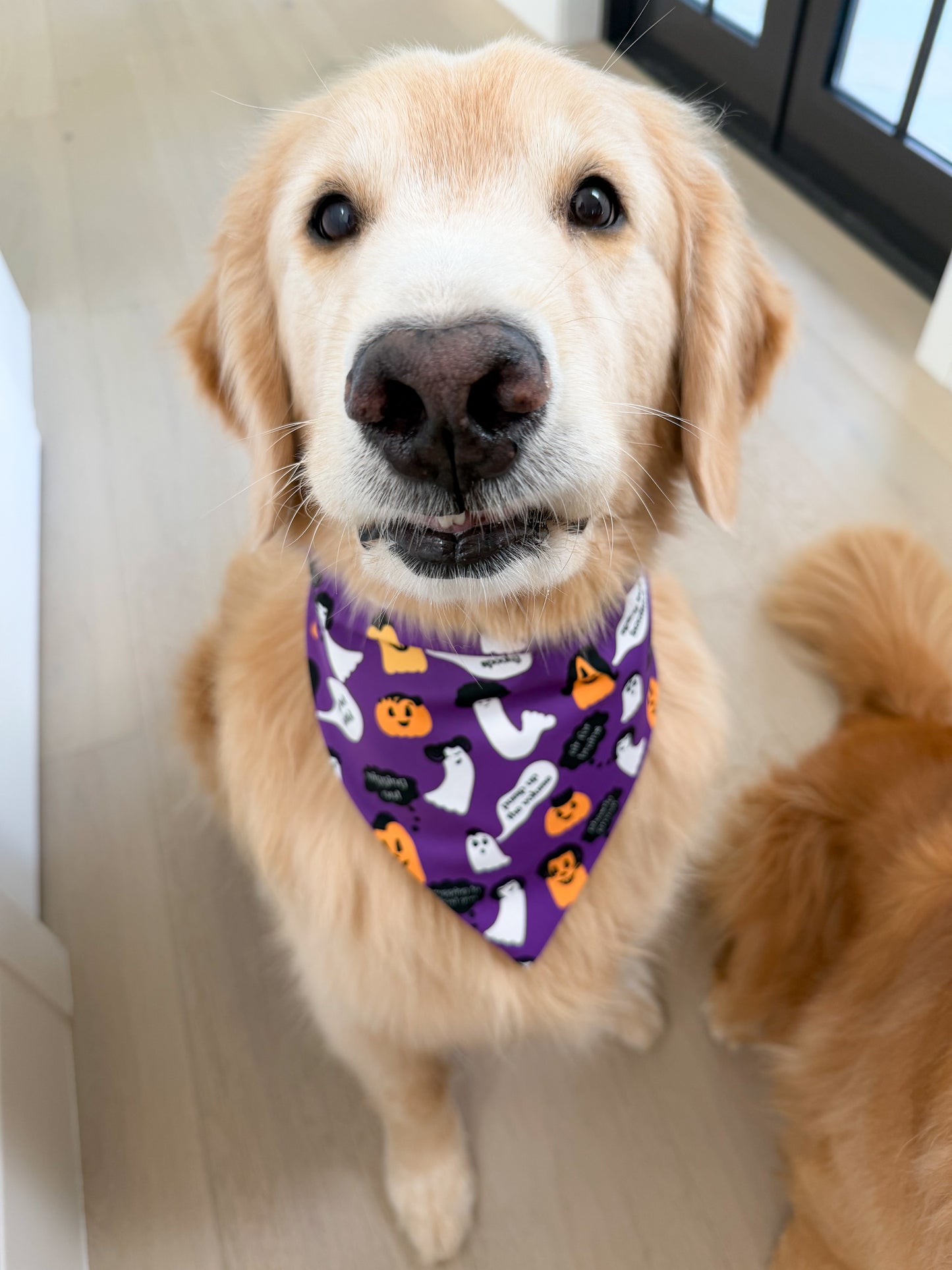 Wigged Out Ghosts and Gourds Bandana