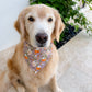 Chamomile and Honey Tea Bandana