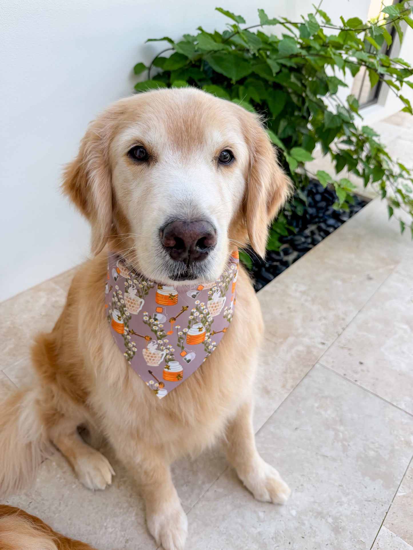 Chamomile and Honey Tea Bandana