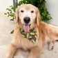 Corn Maize Bandana