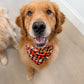 Houndstooth Fall / Halloween  Bandana