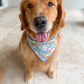 Chamomile and Honey Tea Bandana