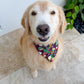 Wine Accoutrements Bandana