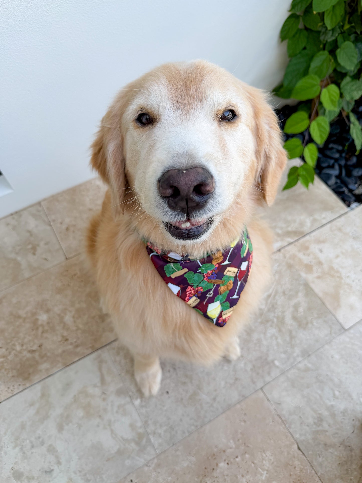 Wine Accoutrements Bandana
