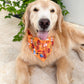 Fall Tailgate Bandana